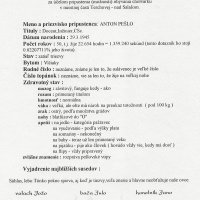 50-ka Anton Pešlo 29.3.1995